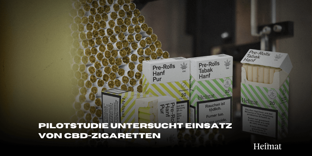 Universitäre Psychiatrische Kliniken Basel: Pilotstudie untersucht Einsatz von CBD-Zigaretten im Klinikalltag