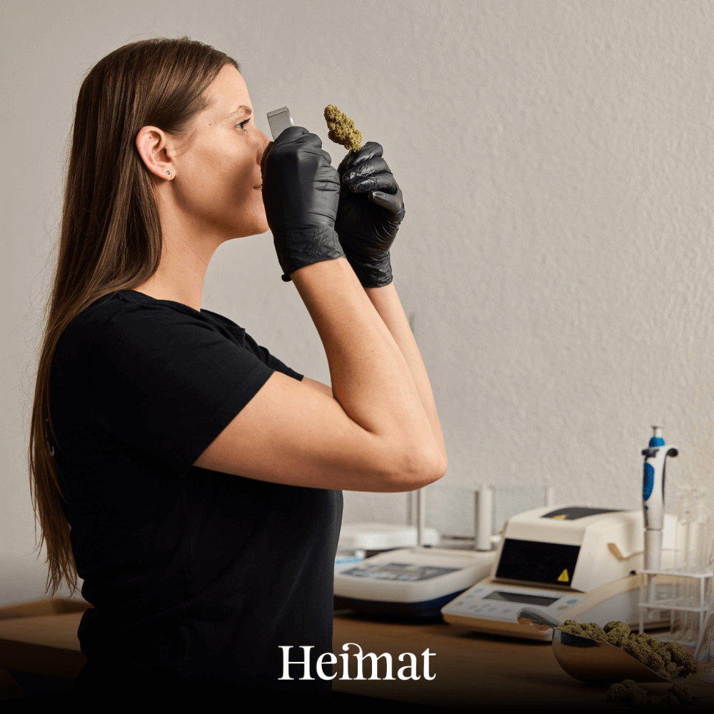 Pre-Rolls Tabak Hanf