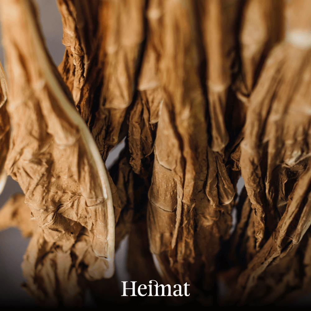 Pre-Rolls Tabak Hanf