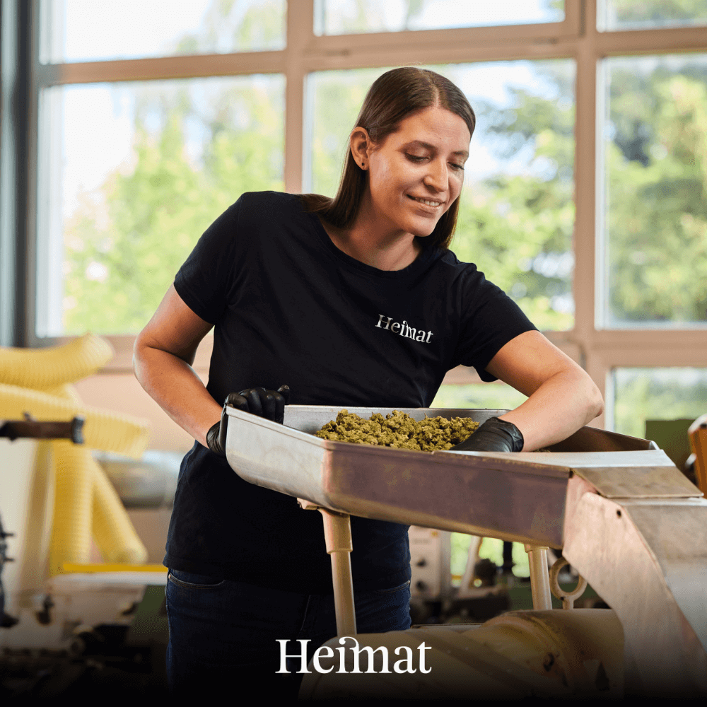 Pre-Rolls Tabak Hanf