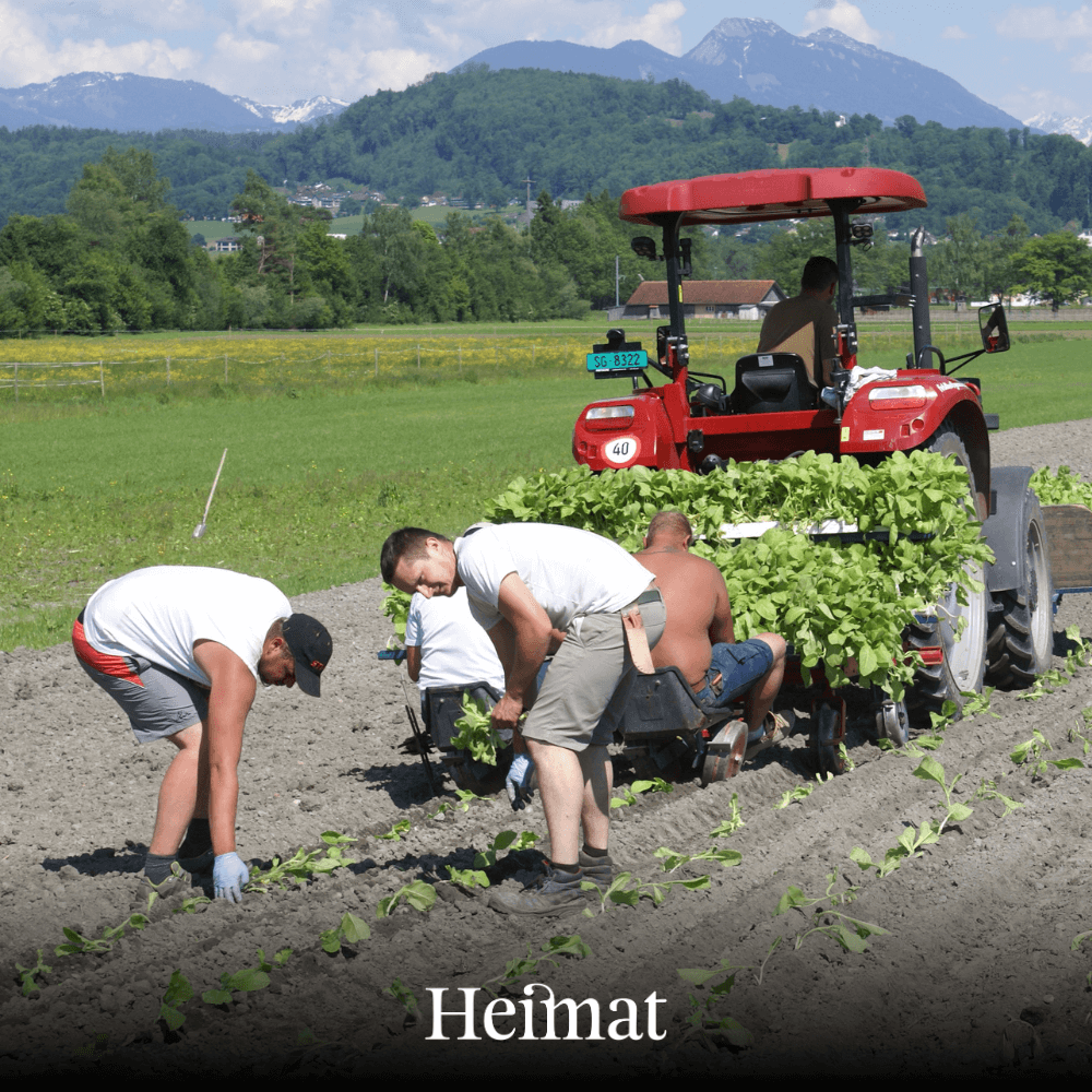 Heimat MYO Dark 250g