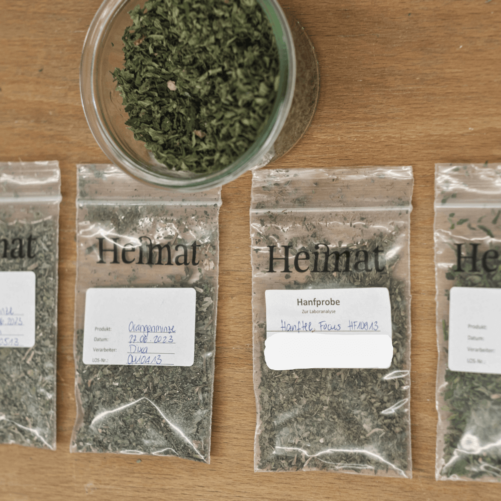 Collezione Canapa (5 varietà)