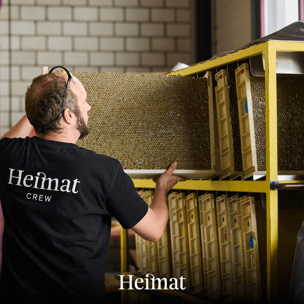 Pre-Rolls Tabak Hanf