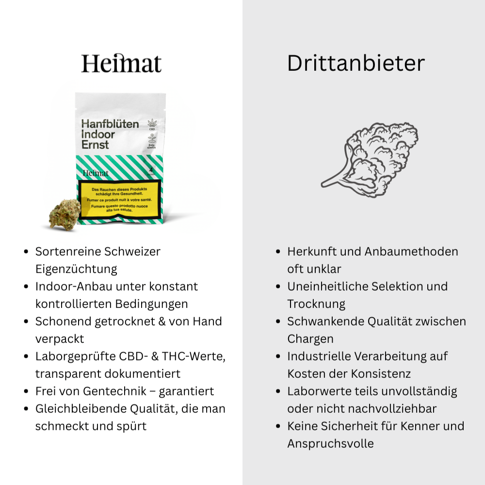 Hanfblüten Indoor Ernst (4g)
