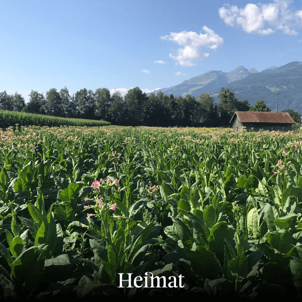 Heimat MYO Dark 250g