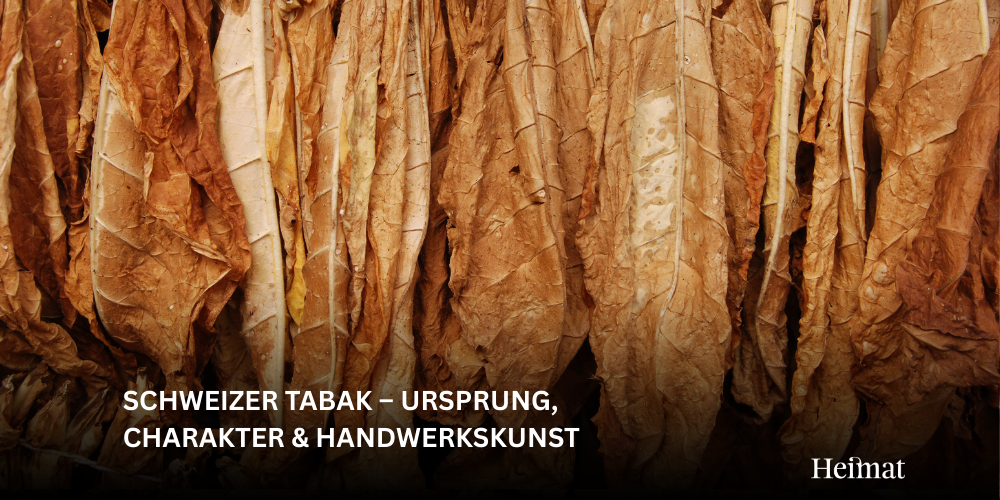 Schweizer Tabak: Ursprung, Charakter & Handwerkskunst