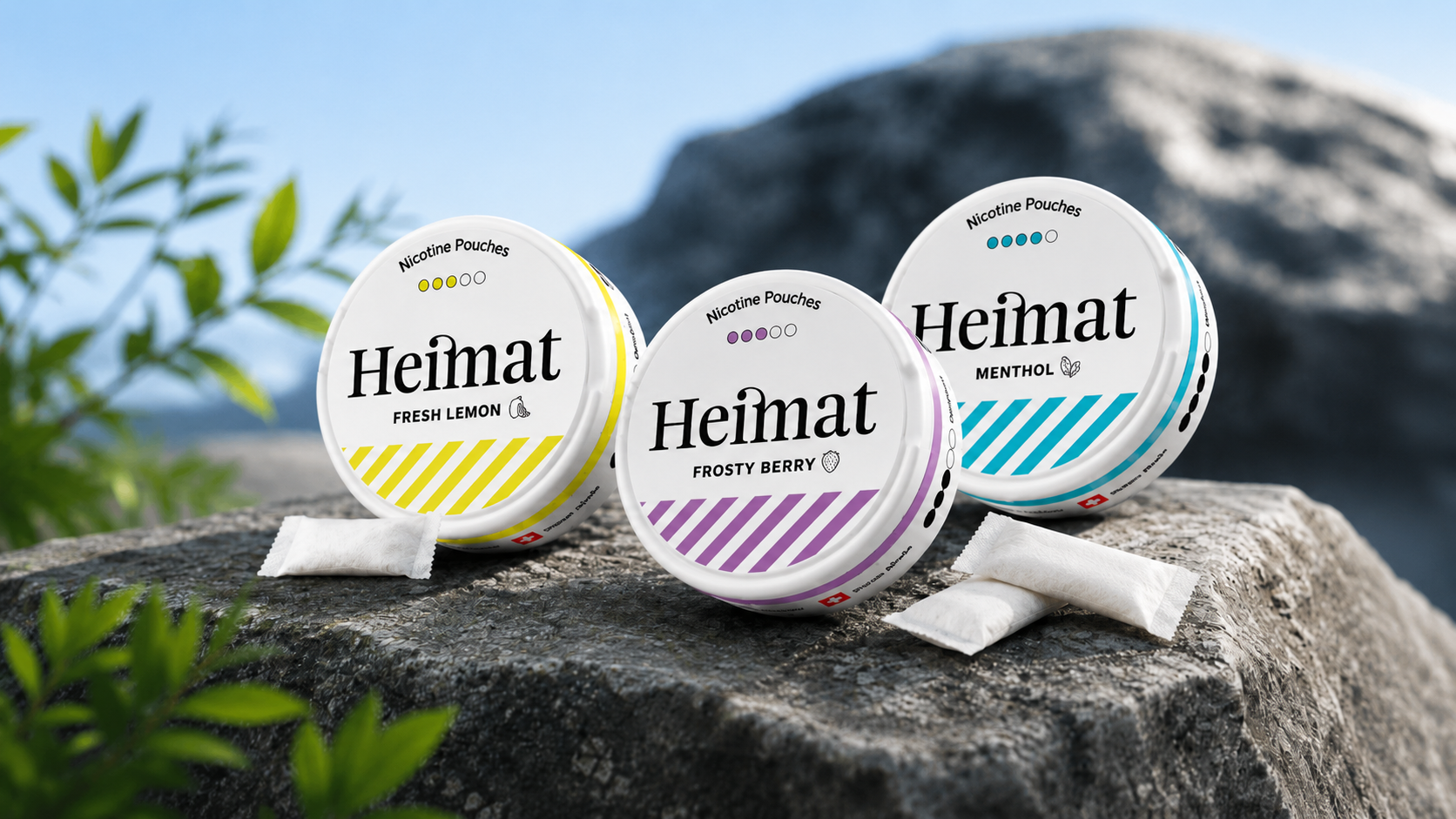 Nicotine Pouches: Was steckt drin?