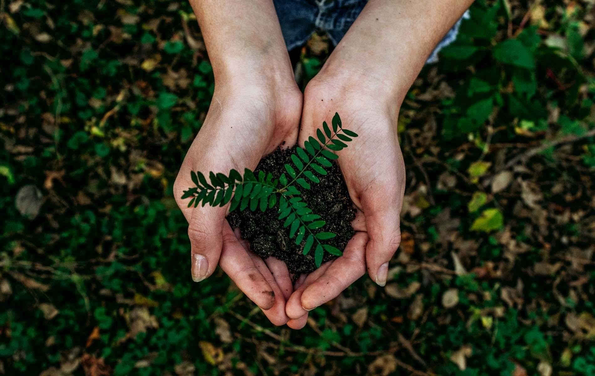 Der biologisch abbaubare Naturfilter ist da