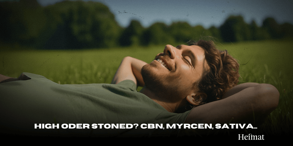High oder Stoned? CBN, Myrcen, und das Ende von Sativa/Indica