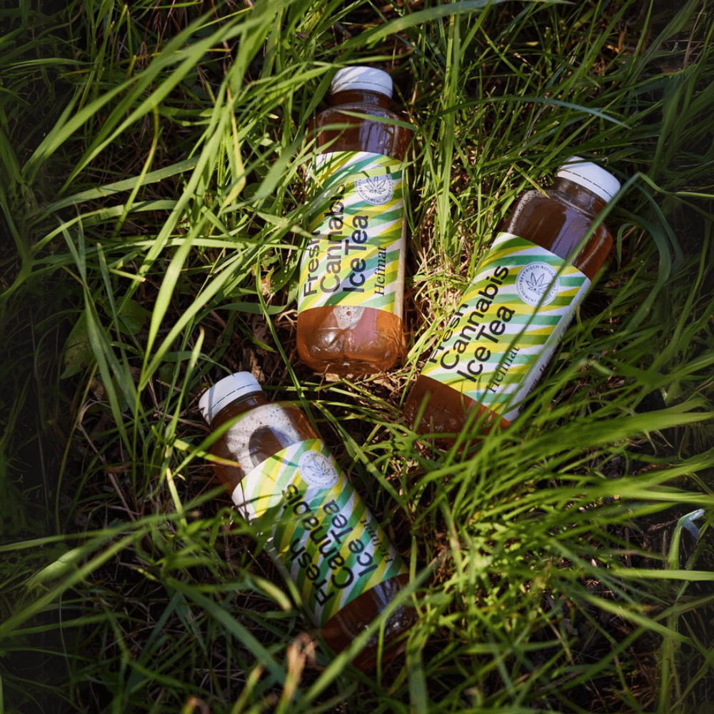 Drei Flaschen Cannabis Ice Tea von Heimat im hohen Gras.