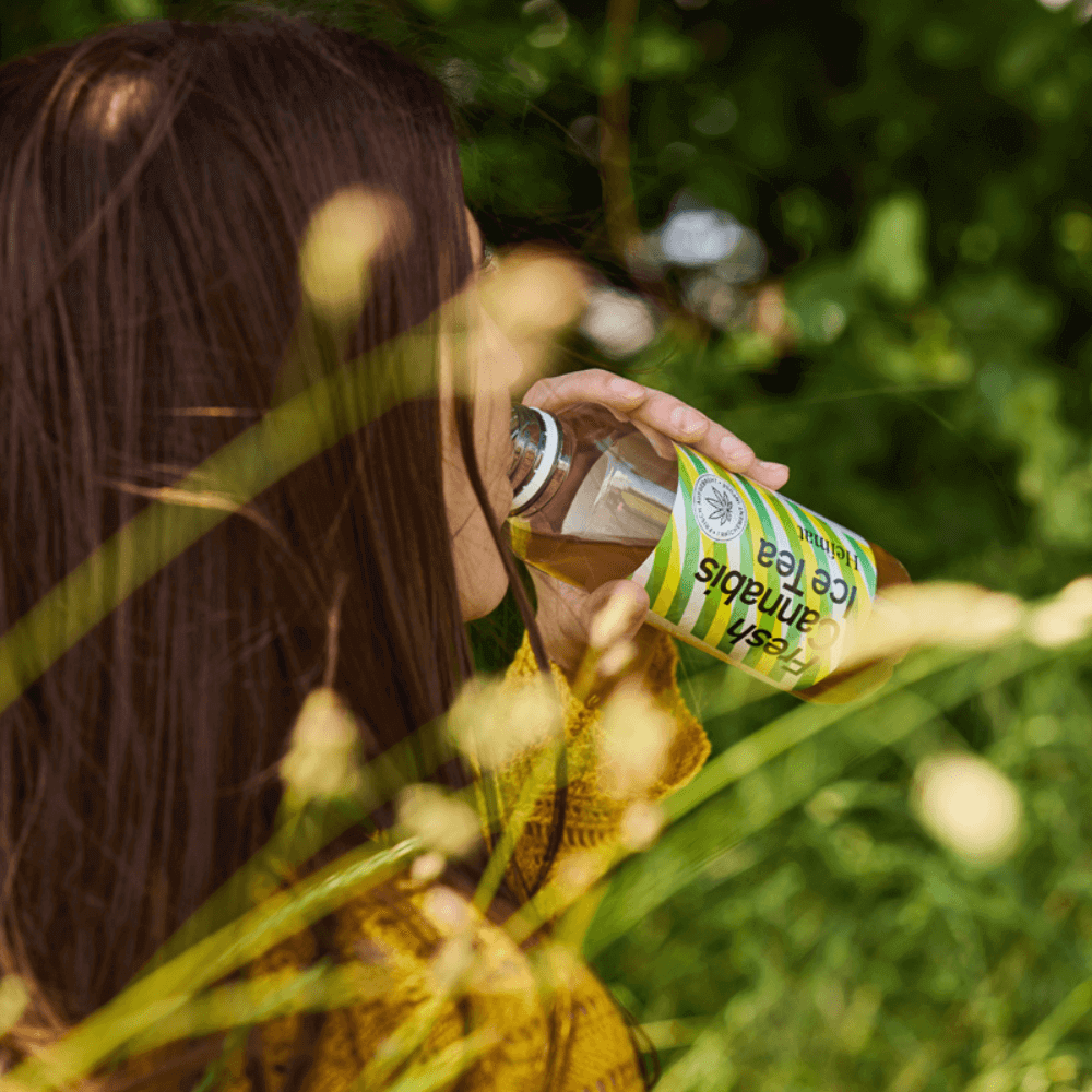 Der Hanf-Eistee von Heimat ist ein reines Schweizer Naturprodukt.