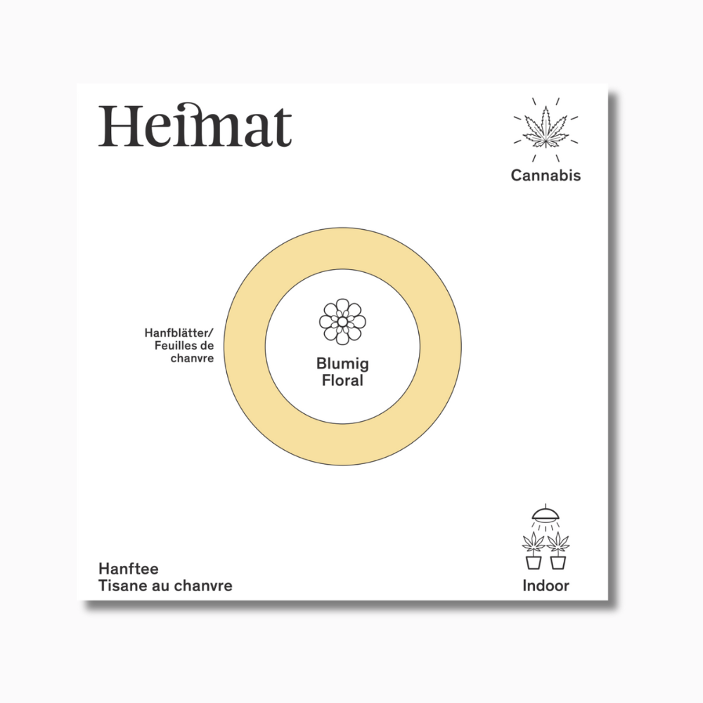 Hemp Tea Focus