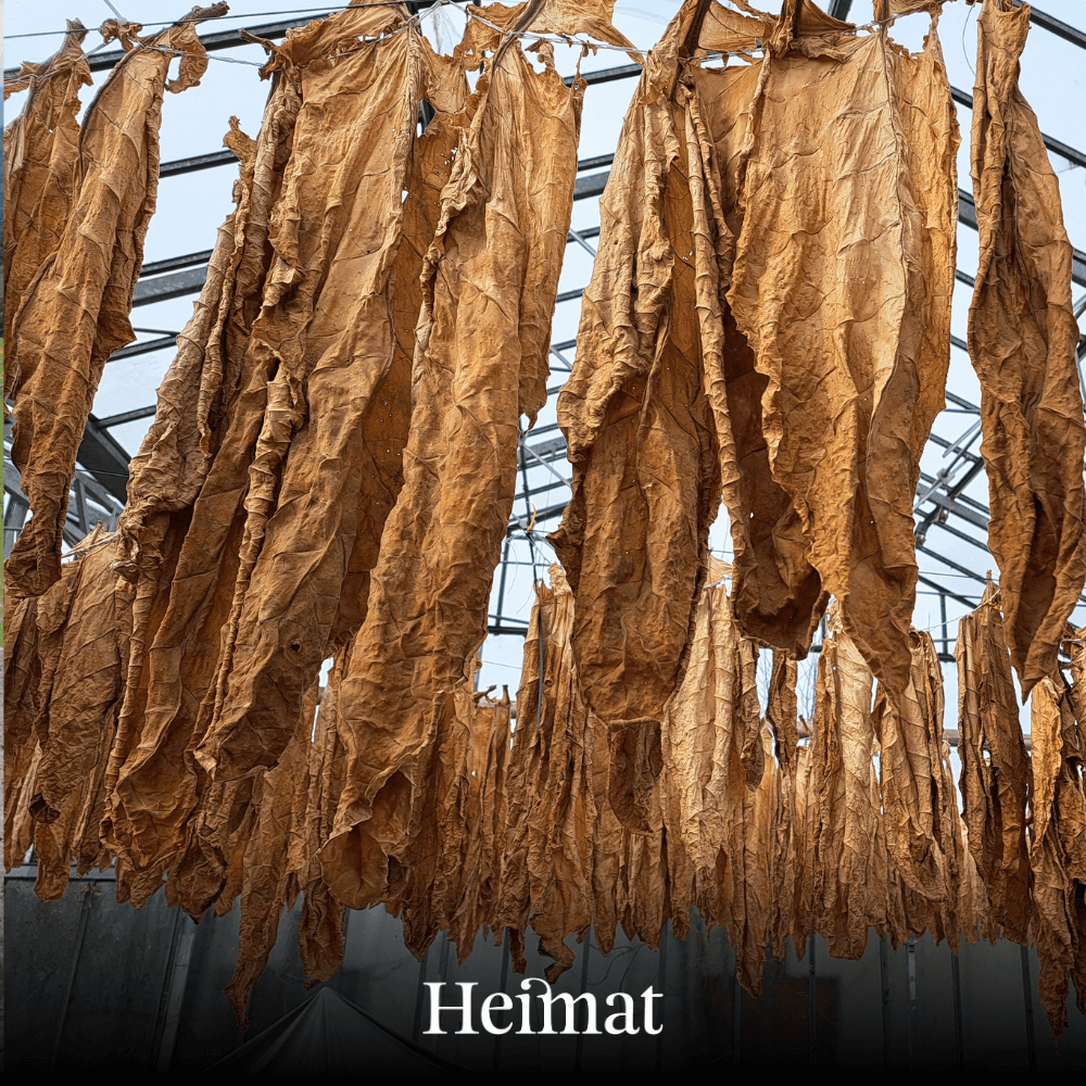 Heimat RYO Hell 30g