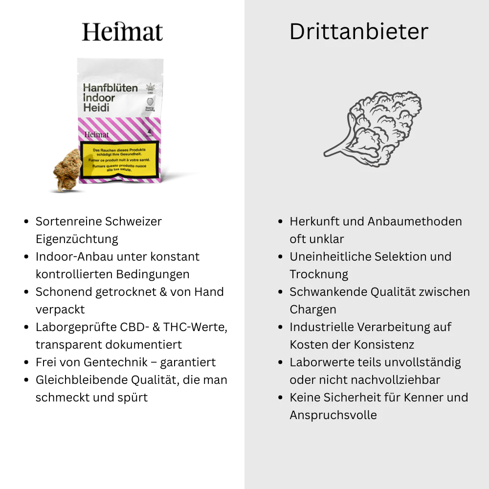 Hanfblüten Indoor Heidi
